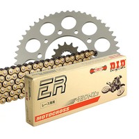 DID Kettensatz FüR Derbi GPR 50 Racing 04-05 420 NZ3