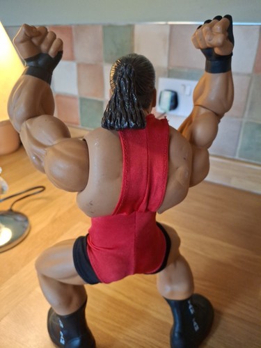 JAKKS WWE RING GIANTS ROB VAN DAM 14" AZIONE POSABILE sciolto 2006 - Foto 13 di 24