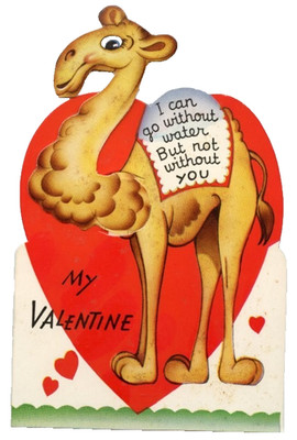 Vintage Valentine Desert Camel I Can Go Without Water But Not Without You c1940s