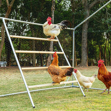 Square Chicken Roosting Perch, Perfect for Backyard Poultry, Chickens Perch for