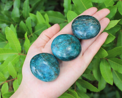 Blue Apatite Hand Polished Stones: Palm Stone, Blue Apatite Pebble Stone