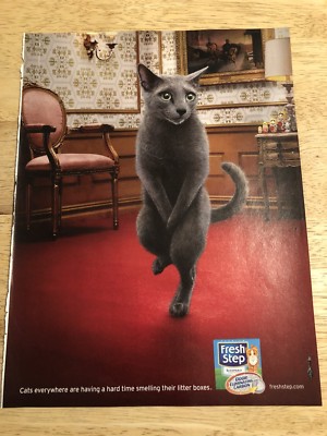 FRESH STEP - Funny Cat - Magazine Full Page Print Ad