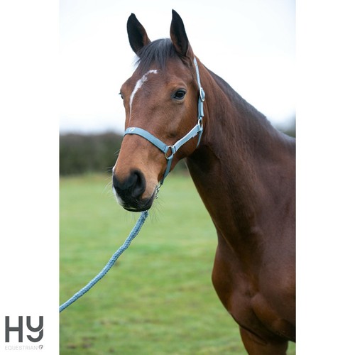 Collar de cabeza y cuerda de plomo Synergy de Hy Equestrian - herrajes plateados - ajustables - Imagen 10 de 33