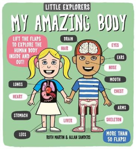 Ruth Martin Little Explorers: My Amazing Body (Libro di cartone)