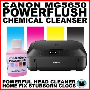 printer canon mg5650