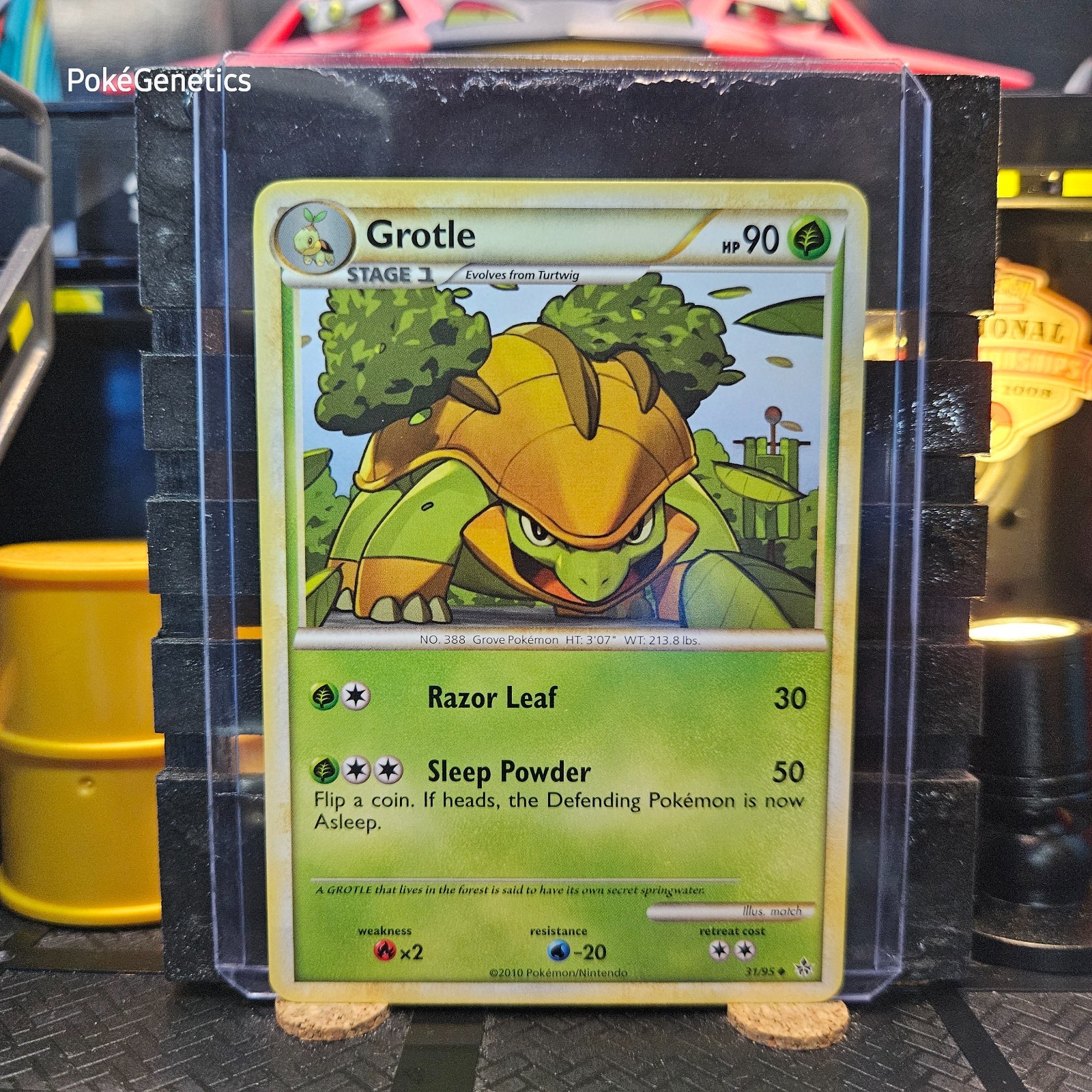 Grotle Unleashed Pokémon TCG 31/95 HeartGold & SoulSilver Uncommon