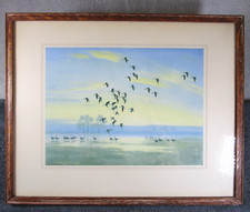 Lovely Vintage Framed Peter Scott Bird Print Whitefront Geese On Flood Water