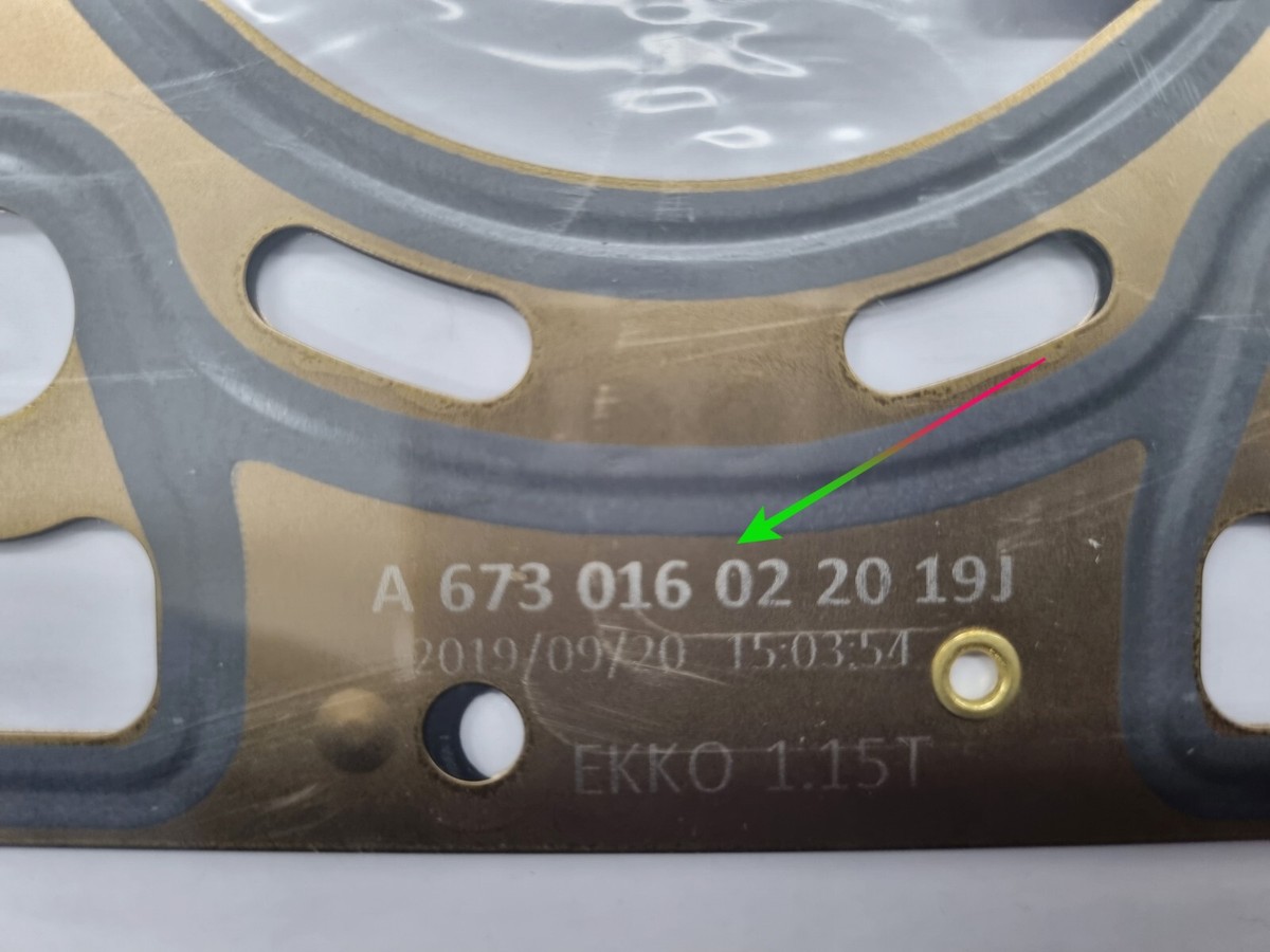 エスカルゴ SKX007 Crystal Gasket | Crystaltimes USA
