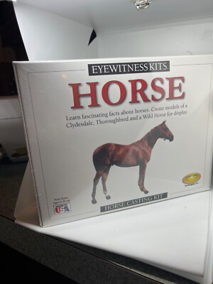Eyewitness horse model, casting kit