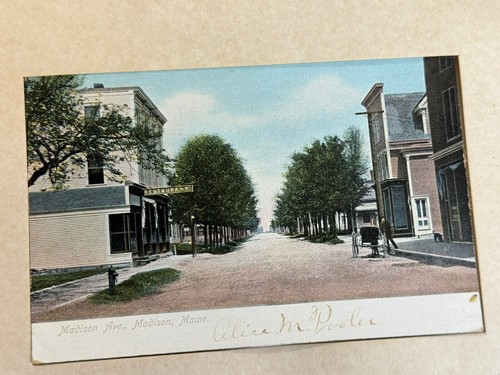 1907-12 Madison, ME Postcards ~ Lakewood Inn, Bridge, Weston Hotel, Madison Ave - Picture 6 of 13