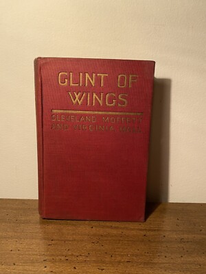 Glint of Wings The Story of a Modern Girl Who Wanted Her Library And Got It