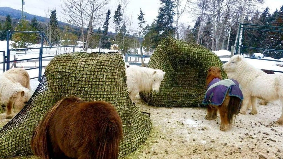 Red de heno de alimentación lenta sin nudos para pacas redondas - 5 mm de grosor con kit de reparación incluido Foto 4 de 4