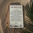New Laminated Holy Card  Saint Catherine Of Siena With Prayer On Reverse — photo 2