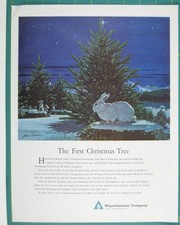 Print Ad The First Christmas Tree Weyerhaeuser Company Vintage Christmas 1963 AD