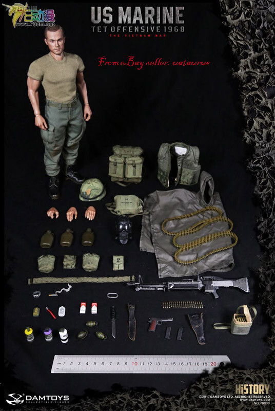 Damtoys 78038 History Series 1/6 U.S.Marine (Tet Offensive,1968