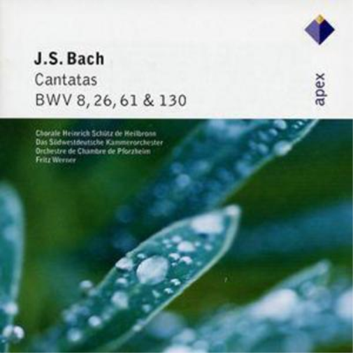 Johann Sebastian Bach Cantatas (Werner, Pforzheim Chamber Orchestra) (CD) Album