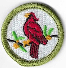 BSA BIRD STUDY MERIT BADGE CURRENT MINT NWT T...