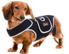 Dog Back Brace for IVDD and Slipped Discs - for Dachshunds, Corgis - Size Medium