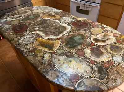 Elegant Oval Petrified Dining Table Top Reception Counter Top Slab Decor 60''x36''
