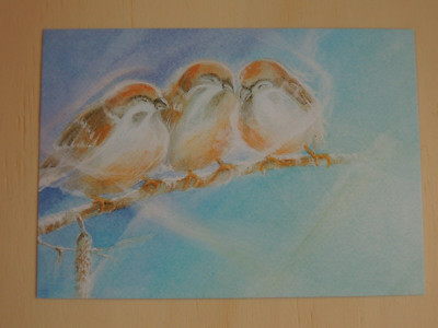 1x Postkarten Drei Spatzen Zweig Vögel Arlene Möller Sperlinge Vogel 10,5 x 14,7