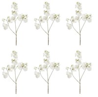 6Er Set KüNstliche Wickenzweige Weiß H. 75Cm Emerald Kunstblumen