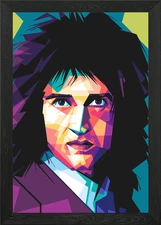 Brian May Pop Art Abstract Portrait Framed Wall Art Poster Canvas Print Picture