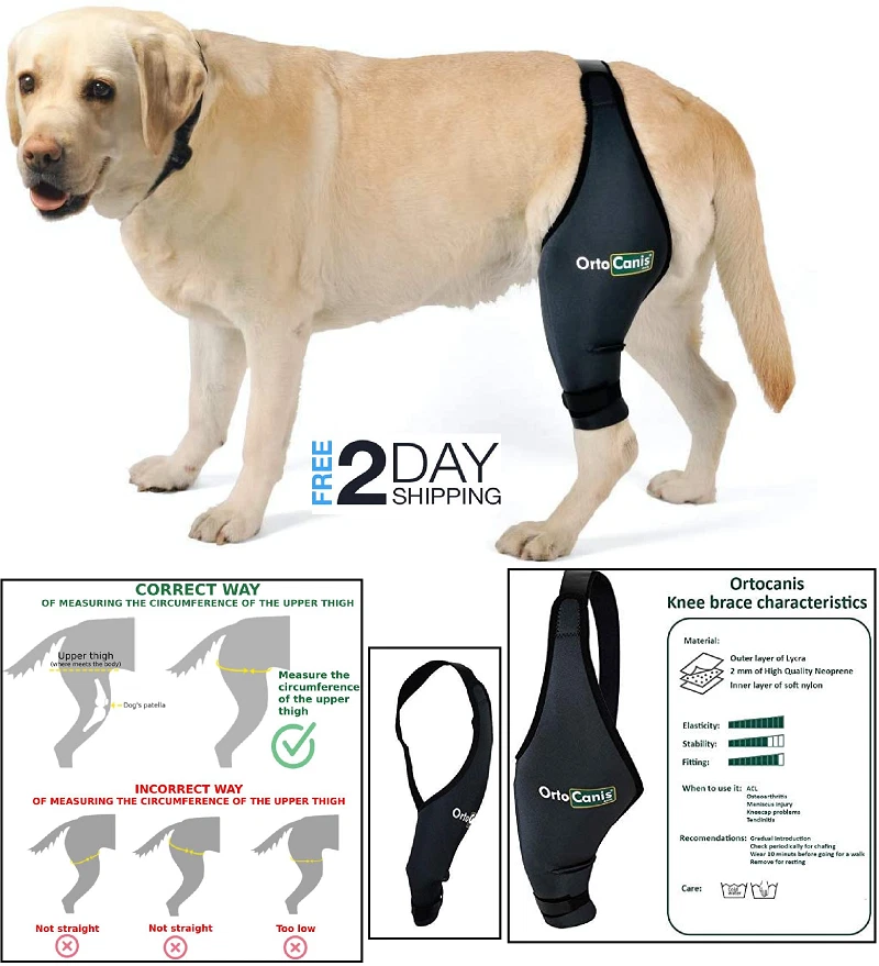 Dog knee 2025 brace ebay