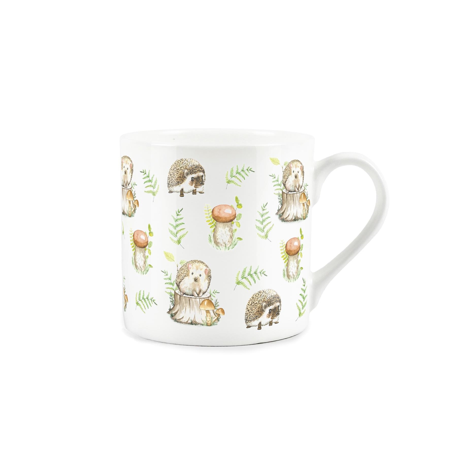 Hedgehogs Bone China Mug - Cute Tea/Coffee Gift Cup
