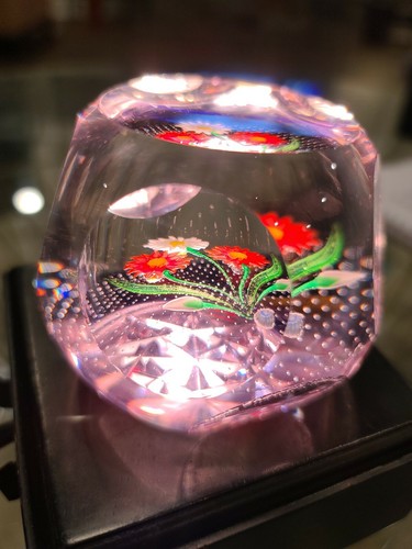 CAITHNESS WHITEFRIARS APRIL SHOWERS SCOTLAND 6/50 PAPERWEIGHT - Picture 2 of 8