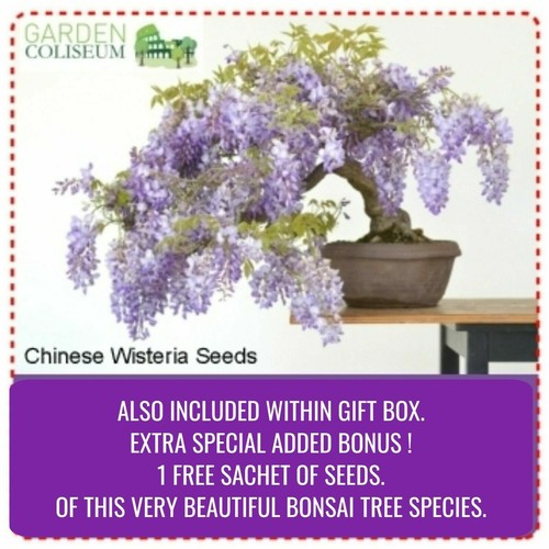 BONSAI TREE KIT. Grow 6 types seeds Gardening Gift Set plus Bonsai tools & pots - Picture 12 of 12
