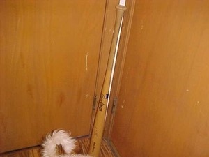 NEW 34" Lenny Dykstra AUTOGRAPHED NY METS Adirondack BIG STICK PRO WOOD 34" BAT