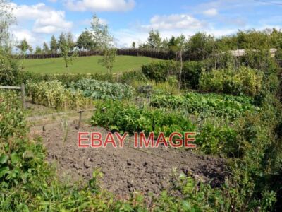 FOTO ANGELSÄCHSISCHE GEMÜSEGARTENBEETE WELT