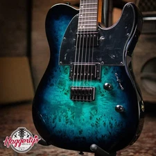 ESP LTD TE-200DX Electric Guitar - Blue Burst