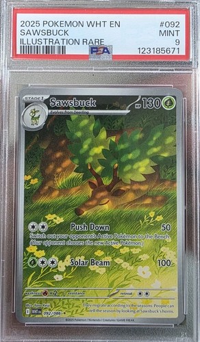 Sawsbuck graded PSA 9 for sale on eBay