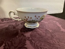 Mitterteich Bavaria Floral Embellished Teacup (CA)