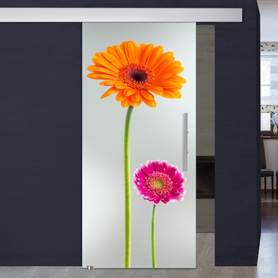 Glasschiebetür ALU60 Digitaldruck direkt auf Glas Motiv 1009-4-S-ALU60