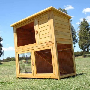 raised guinea pig hutch