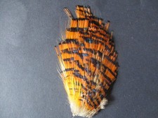 golden pheasant head collar tippet piece