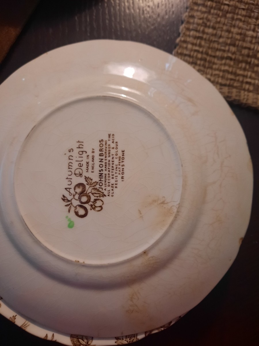 Johnson Bros. Autumn's Delight | eBay