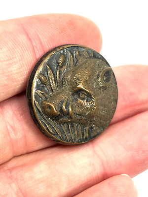 Buttons - Wild Boar