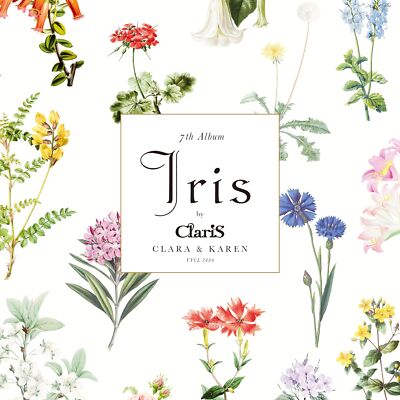 Claris ClariS　CD 8-Speed tokyobike Derailleur– Rear 邦楽
