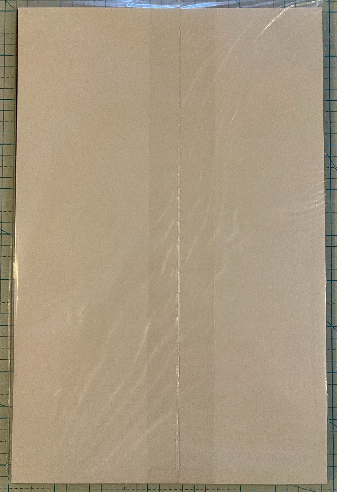 Picture 4 of 4