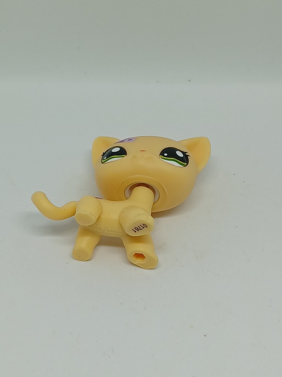 Petshop Chat Marron d'occasion