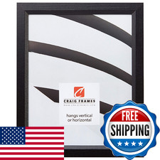 Craig Frames 7171610BKC1215AAC 0.825" Wide Wood Grain Picture/Poster Frame