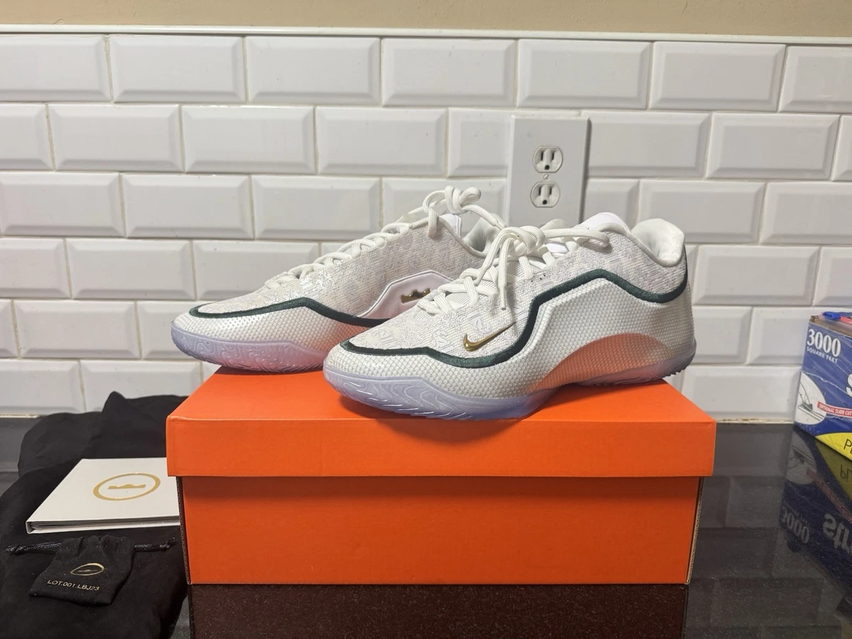 Nike Lebron 23 From This Point Forward for Sale | Authenticity