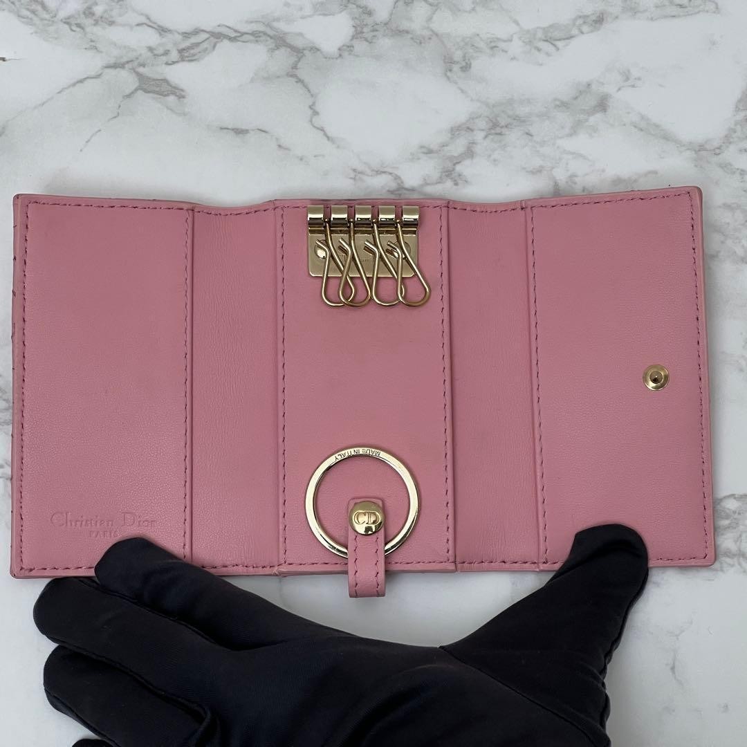 Dior My Dior Aster Key Case Aster Current Model Pink | eBay