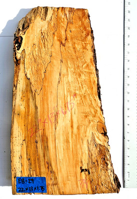*CLOSE OUT SALE PRICED! Phoenix Flame BE Maple Live Edge Root Burl 22 x 13 Dried