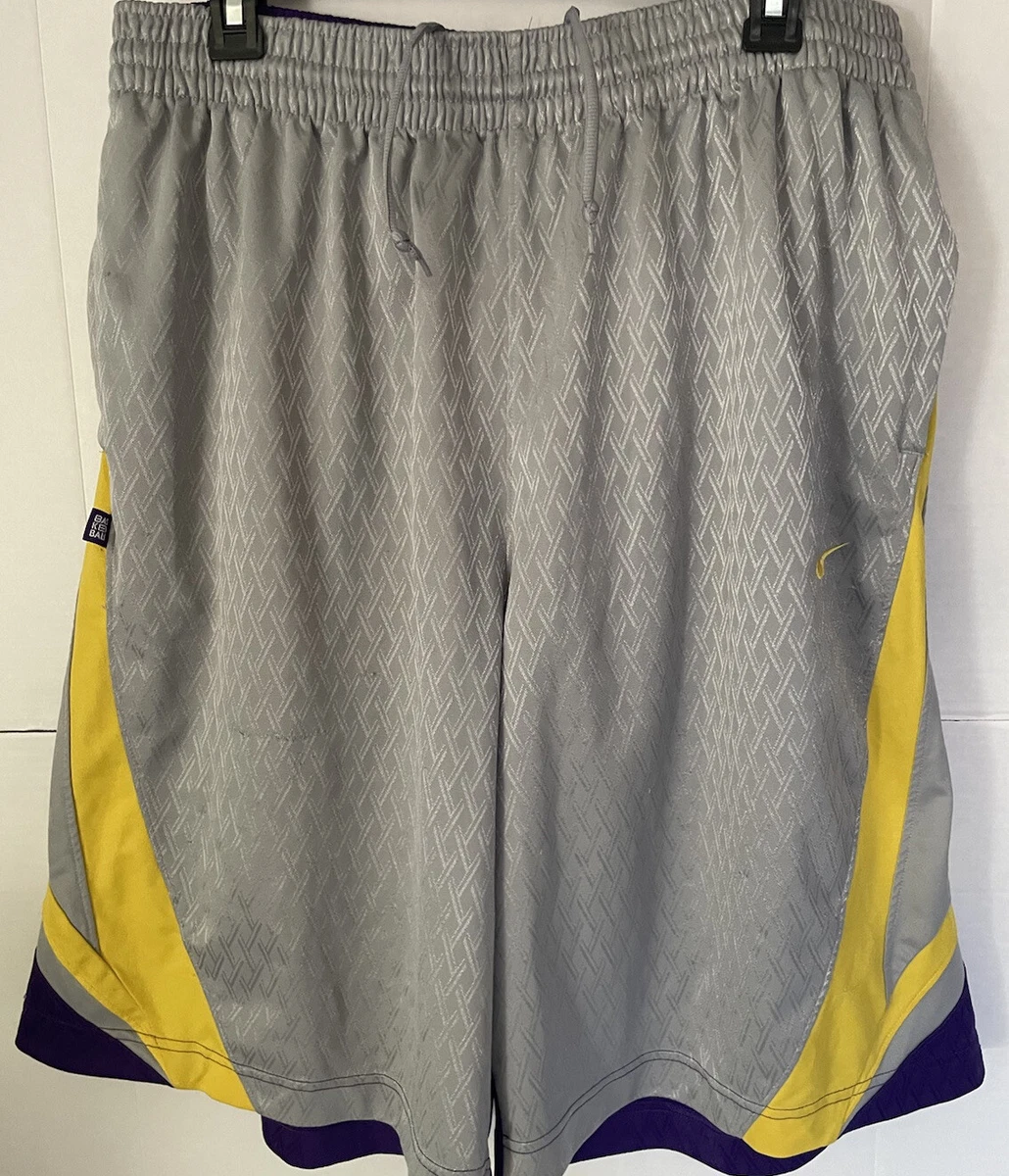 Nike Basketball NBA LA Lakers shorts in purple