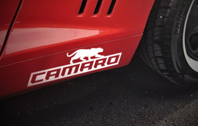 Sticker for Camaro Panther Vinyl Decal Car Rear Racecar Window | eBay