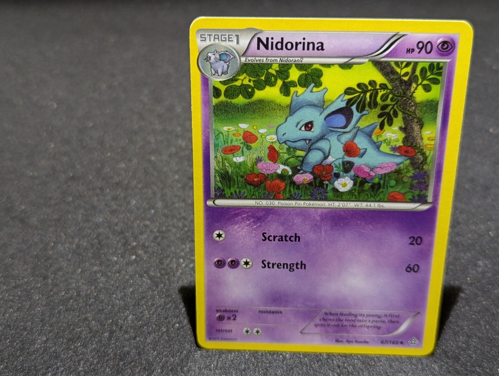 Nidorina 67/160 Uncommon XY Primal Clash Pokemon Card NM-Mint